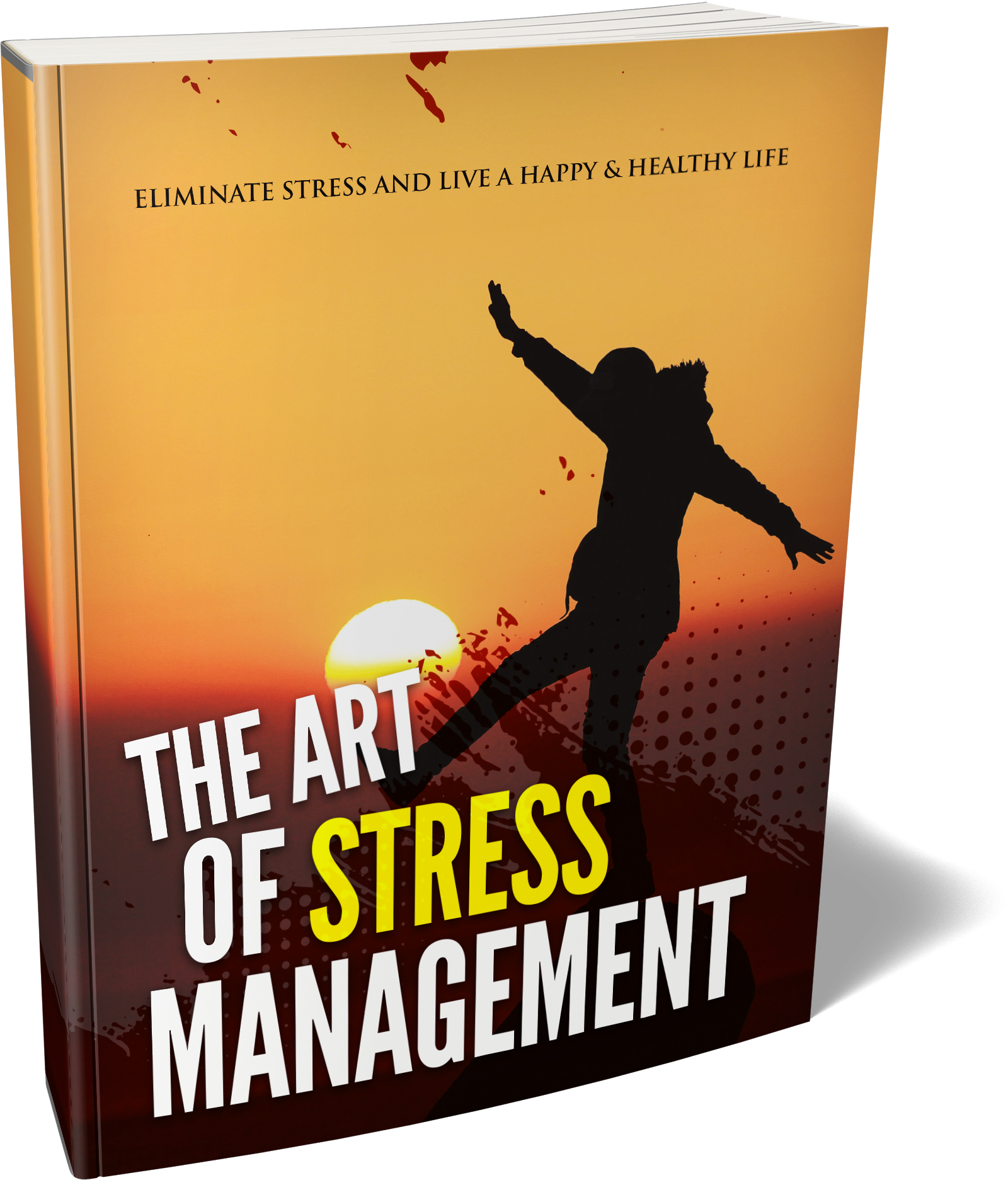 The Art of Stress Management